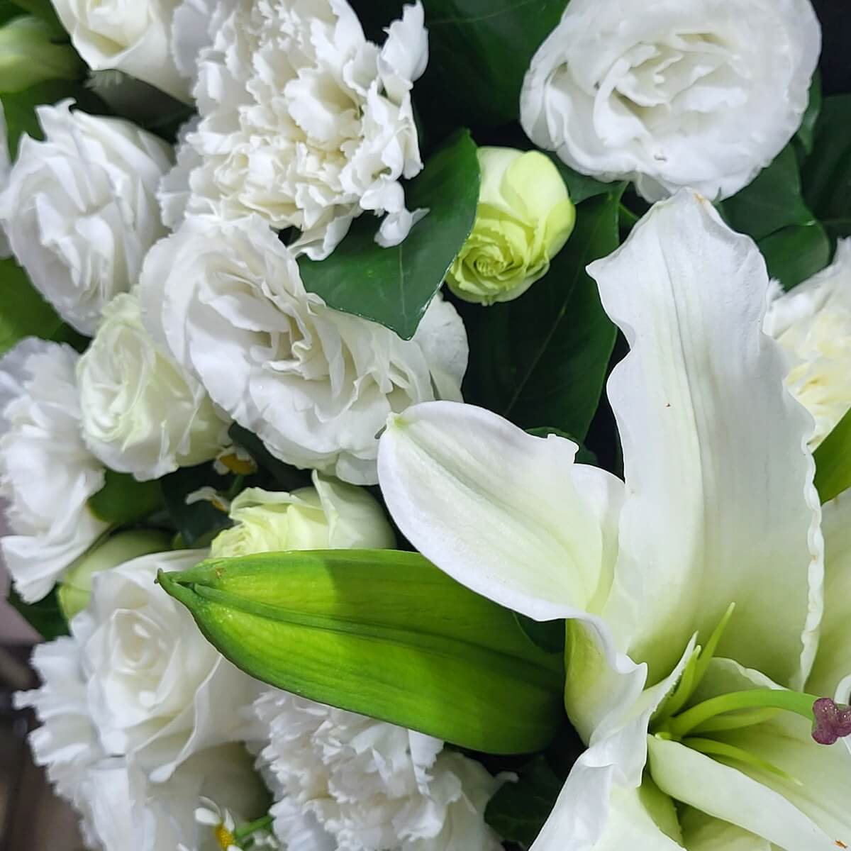 Close-up of white lily, lisianthus, roses, and carnations with green buds and foliage 白百合、洋桔梗、白玫瑰及康乃馨特寫，伴隨含苞花苞與濃綠葉片，色調潔白柔和。