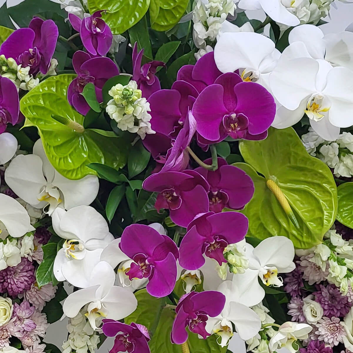 Mixed floral arrangement with purple and white phalaenopsis orchids, glossy green anthuriums, white stock flowers, and pale lavender button chrysanthemums - 紫白蝴蝶蘭、亮綠火鶴、白宿根花、淡紫乒乓菊混合花藝設計