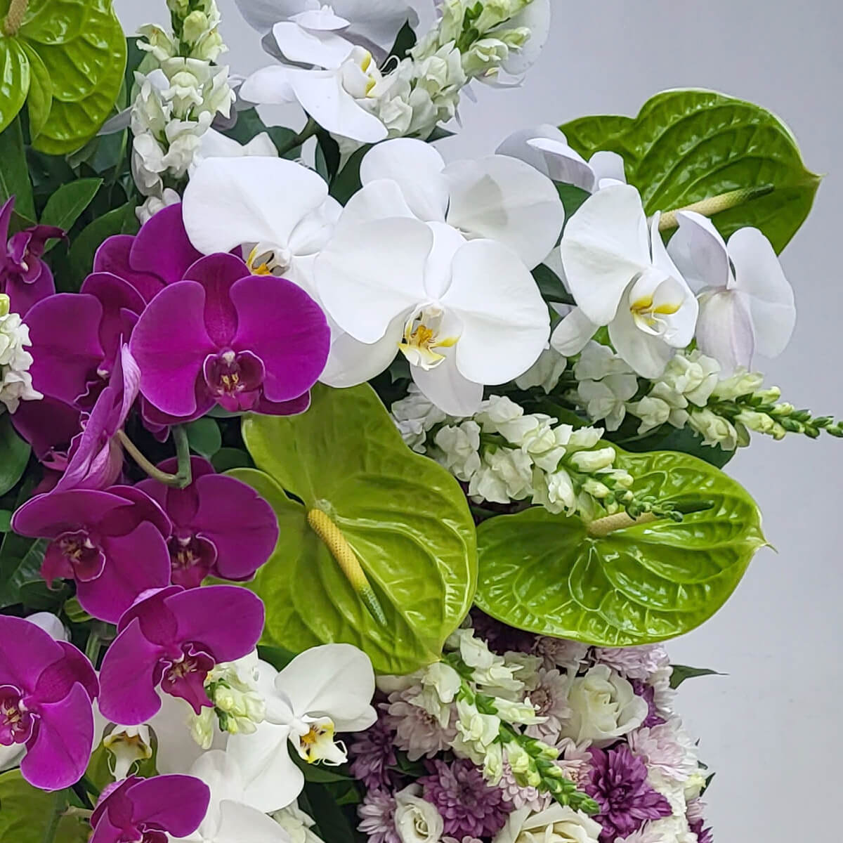 Arrangement of white and purple phalaenopsis orchids, green anthuriums, white stock flowers, and lavender button chrysanthemums - 白紫蝴蝶蘭、綠火鶴、白宿根花及淡紫乒乓菊花藝設計