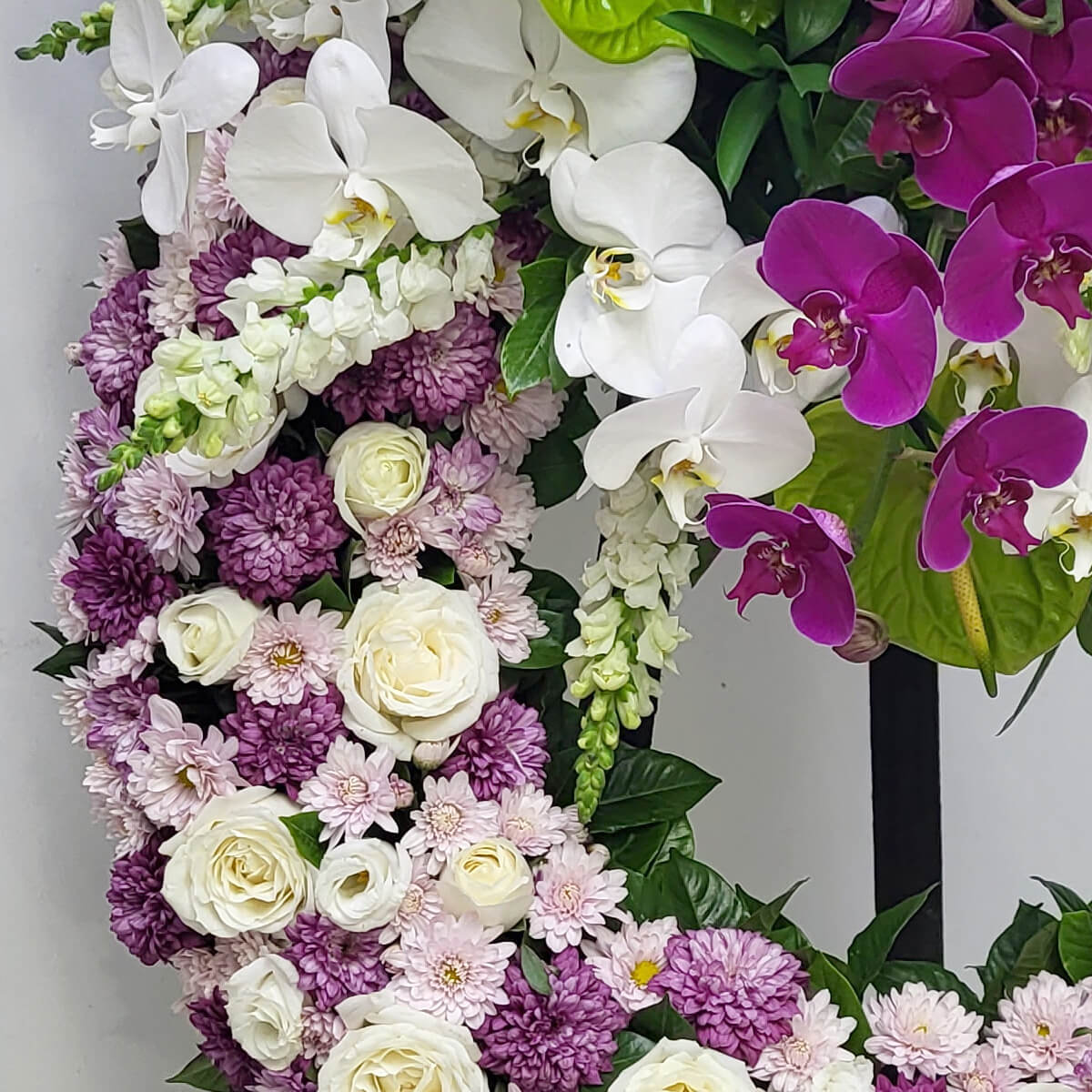 White and purple phalaenopsis orchids, green anthuriums, white stock, button chrysanthemums - 白紫蝴蝶蘭、綠色火鶴、白宿根花、乒乓菊