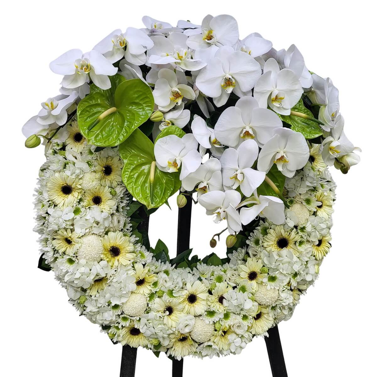 White wreath with phalaenopsis orchids draping over green anthuriums, and a ring of densely packed gerberas, chrysanthemums, roses and chamomile with soft cream tones, displayed on stand, original photo 白色花圈 蝴蝶蘭垂墜 火鶴亮綠 非洲菊與菊花均勻鋪排 玫瑰與洋甘菊穿插其中 原相片
