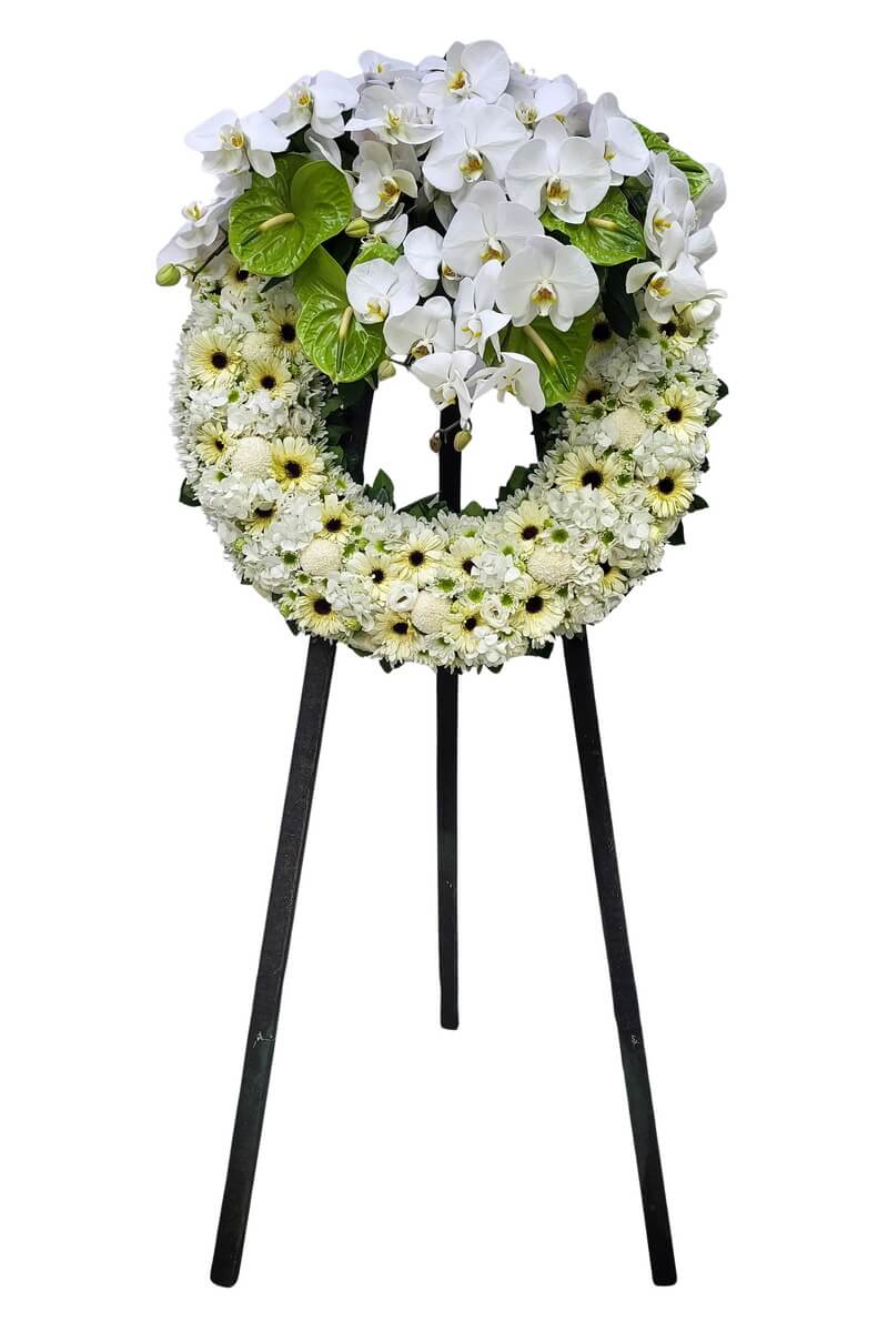 Standing floral wreath featuring cascading white phalaenopsis orchids and green anthuriums, arranged with white gerberas, button chrysanthemums, and hydrangeas on a circular base 白色蝴蝶蘭與綠色火鶴花垂墜設計，配白色非洲菊、乒乓菊及繡球花的立式圓形花圈