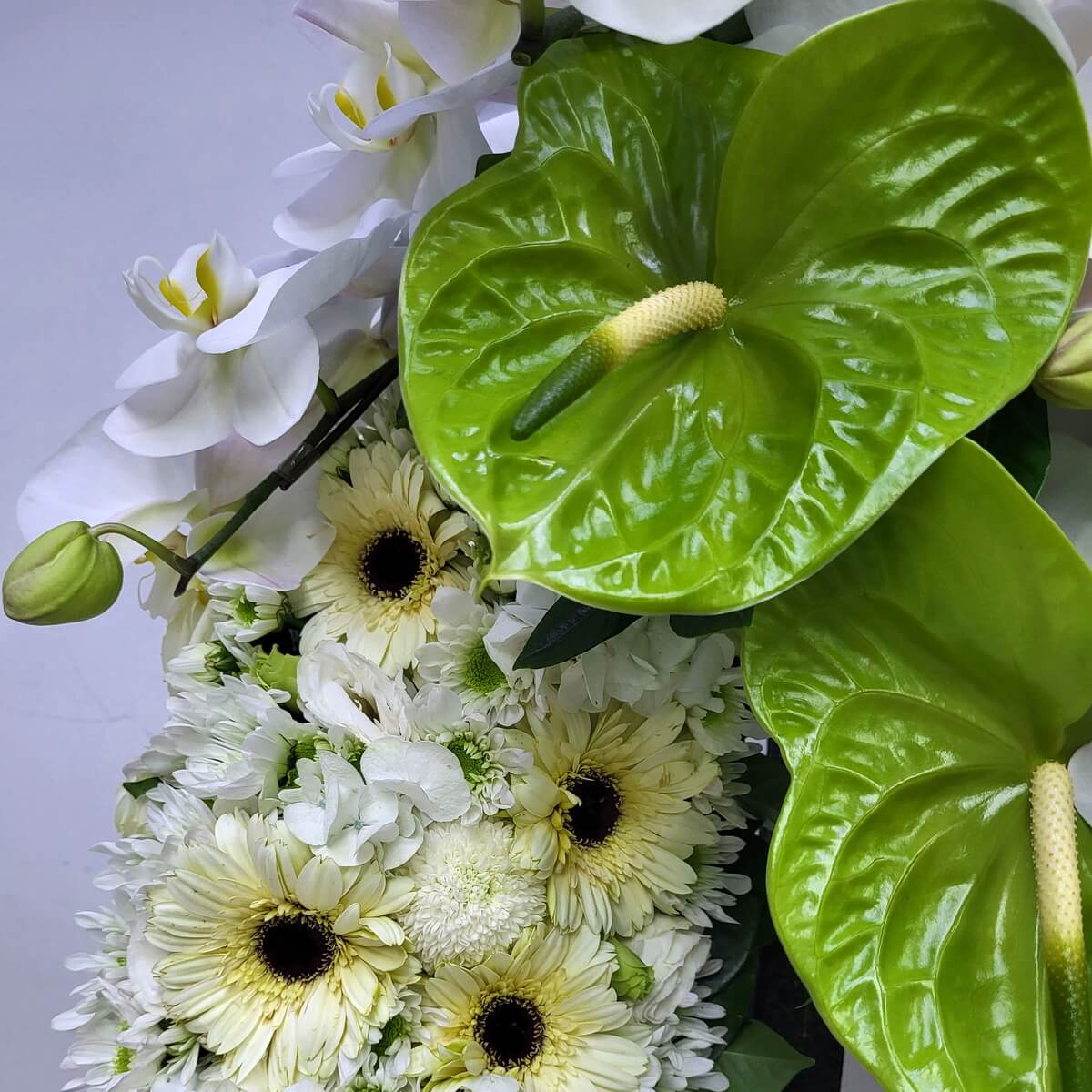 Zoomed-in image showing vivid green anthuriums paired with white phalaenopsis orchids and surrounded by cream-toned gerberas, button chrysanthemums, and soft hydrangeas 鮮綠色火鶴花配白色蝴蝶蘭，搭配奶白色非洲菊、乒乓菊與繡球花的放大特寫