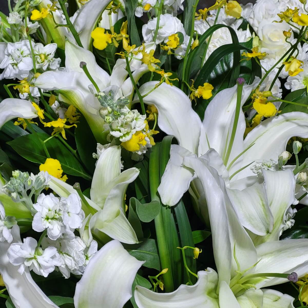 Full floral arrangement featuring white lilies, white stock flowers, yellow dancing lady orchids, and green foliage 白百合、白香雪蘭與黃跳舞蘭搭配綠葉構成的完整花藝佈置