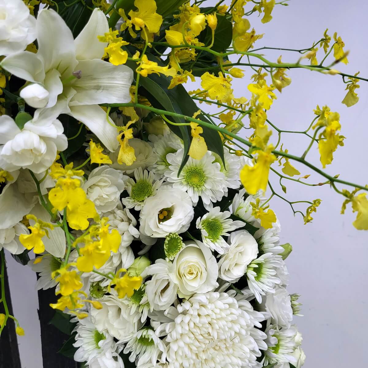Macro view of yellow dancing orchids arching above a clustered arrangement of white button chrysanthemums, lisianthus, roses, and mini carnations 黃色跳舞蘭垂掛於白色乒乓菊、洋桔梗、玫瑰與迷你康乃馨的密集花藝設計之上放大特寫