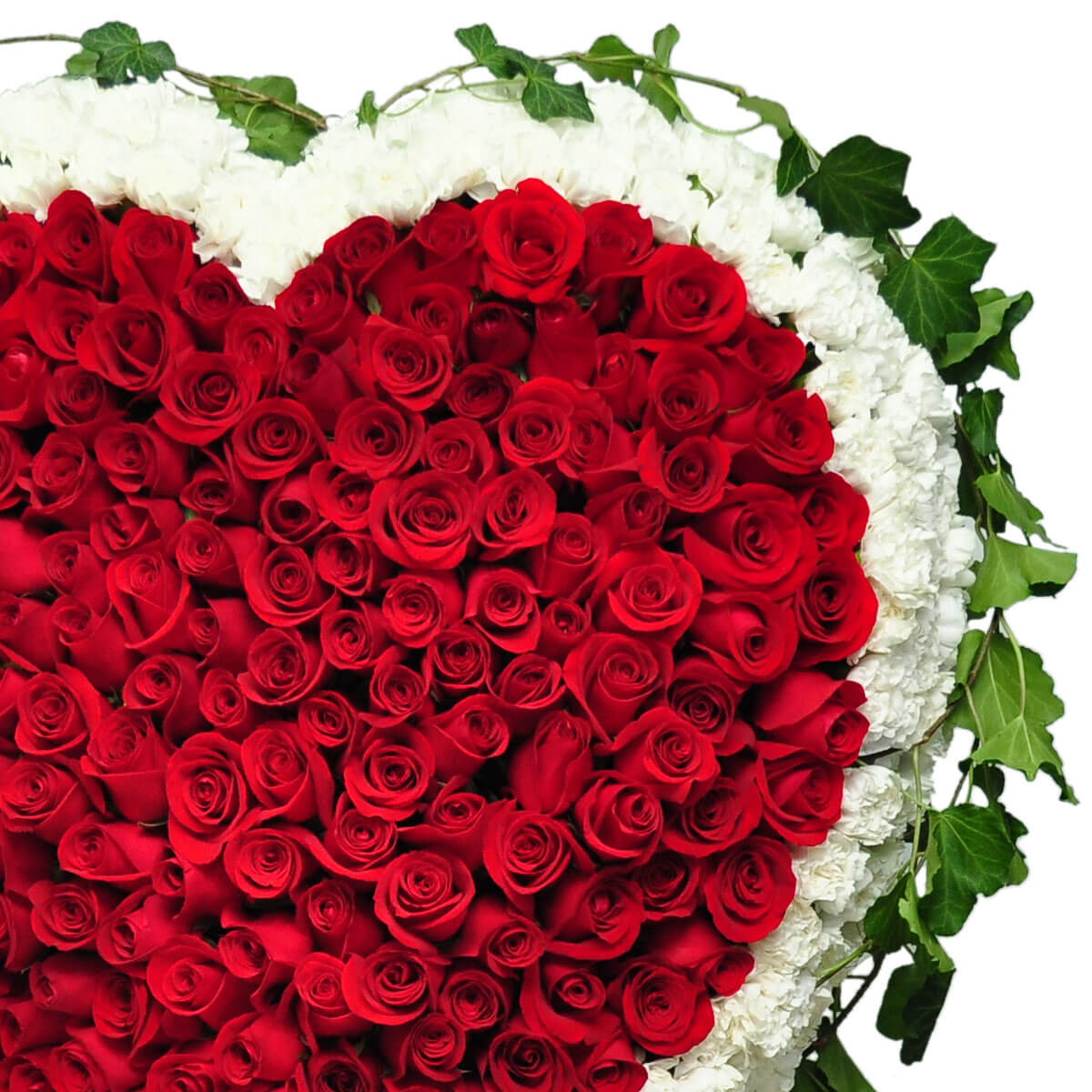 A dense heart of red roses encircled by a ring of white carnations and ivy vines – 滿佈紅玫瑰的愛心花圈，外圍以白色康乃馨與常春藤藤蔓點綴