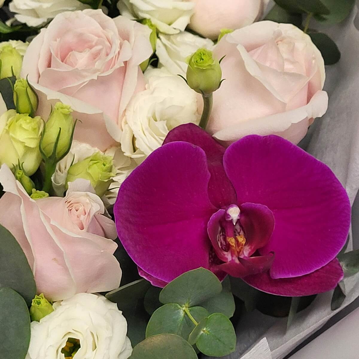 Close-up of pink roses, white lisianthus and fuchsia orchid with eucalyptus - 粉紅玫瑰、白洋桔梗、紫紅洋紫蘭及尤加利特寫