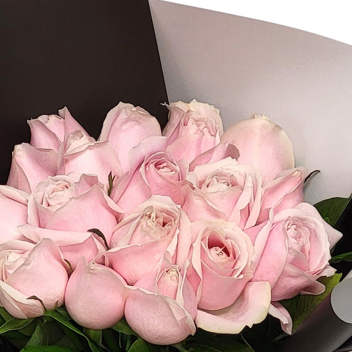 A classic bouquet of blush pink roses, symbolizing admiration and sweetness 柔和粉玫瑰象徵愛慕與溫柔，黑白包裝增添典雅氣息。