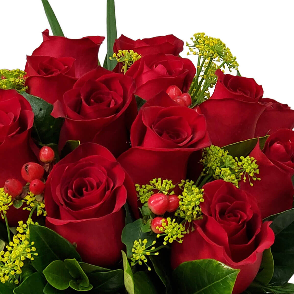 Close-up of red roses with green fillers and red hypericum berries - 紅玫瑰特寫，搭配綠色配花與紅色繡球果