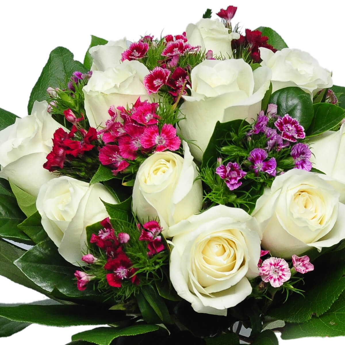 Close-up of white roses surrounded by pink and purple dianthus blooms with green foliage - 白玫瑰、粉紫石竹花與綠葉特寫畫面