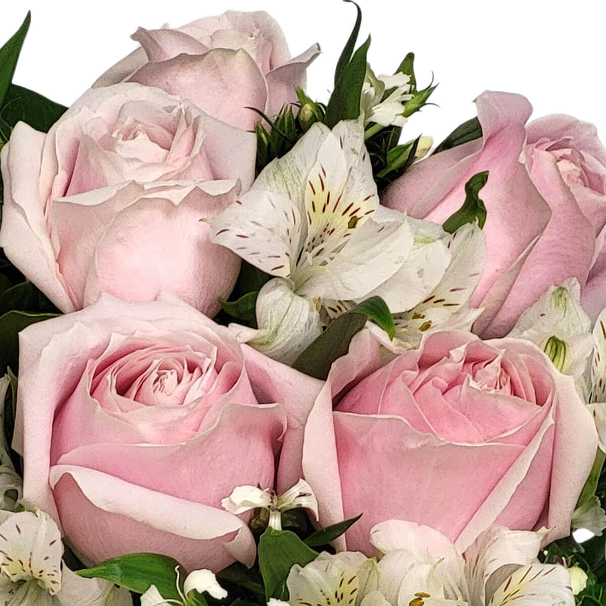 A tender bouquet of pink roses and white alstroemeria, perfect for expressing affection 柔和粉紅玫瑰與白色六出花交織，傳遞溫柔心意與浪漫情感。